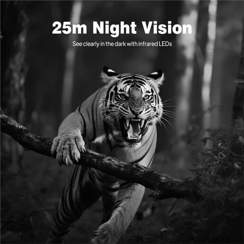 Kamera Pengintai Hutan untuk B - Trail Camera Infrared ulasan dan harga